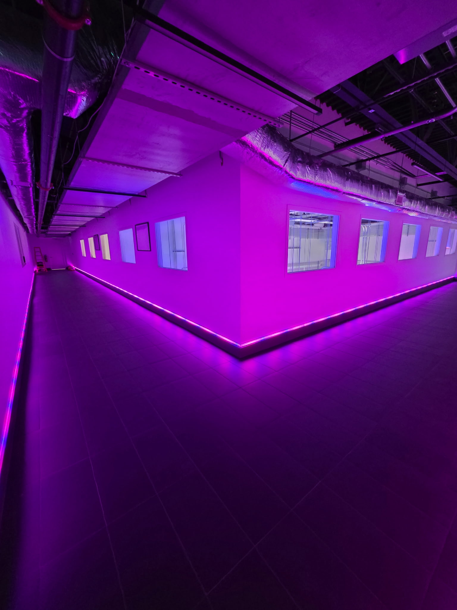 Precision Lighting®️